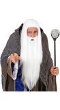 Wizard Pruik met Baard