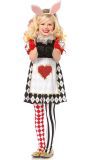 Wonderland Konijn Kostuum