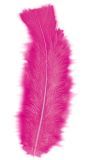 Zakje met 50 Felroze Veertjes