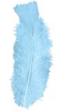 Zakje met 50 Lichtblauwe Veertjes