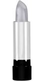 Zilveren Lippenstift