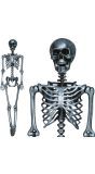 Zilveren Skelet Pop Decoratie