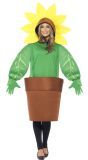 Zonnebloem In Pot Kostuum