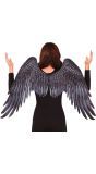 Zwarte Engelenvleugels Van Stof