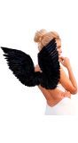 Zwarte Gevederde Vleugels