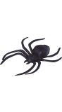 Zwarte Glitter Spinnen set Van 2