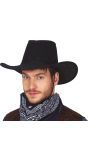 Zwarte Hoge Cowboyhoed