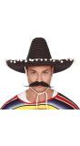 Zwarte Mexicaanse Sombrero