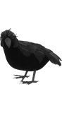 Zwarte Nepkraai Halloween Decoratie