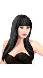 Zwarte Pruik Lang Haar