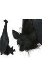 Zwarte Vleermuis Decoratie 50cm Halloween