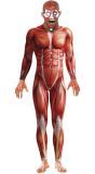 Anatomie man kostuum rood