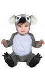 Baby koala kostuum
