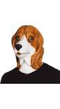 Beagle hond masker latex