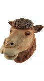 Bruin kamelen masker