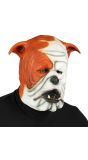 Bulldog gezicht masker