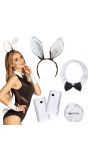 Bunny girl accessoire set