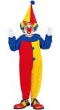 Carnaval clown kind
