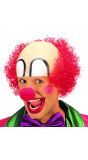 Clowns pruik met masker
