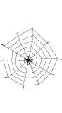 Elastisch spinnenweb decoratie met spin
