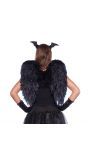 Engelen vleugels zwart 50cm