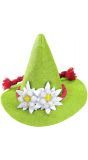 Groene mini oktoberfest hoed