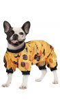Halloween pompoen kostuum hond