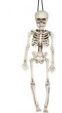 Halloween skelet decoratie