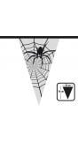 Halloween spinnenweb thema vlaggenlijn