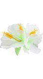 Hibiscus haarclip bloem wit
