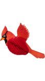 Kardinaalvogel honingraat rood