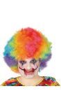 Kleurrijke afro pruik clown