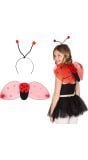 Ladybug accessoires set kind