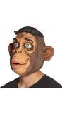 Mister monkey hoofdmasker