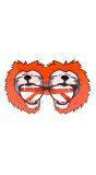 Oranje leeuw feestbril
