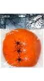 Oranje spinrag met 6 spinnen