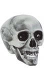 Plastic schedel skelet