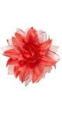 Rode bloem haarclip