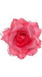 Roze roos haarclip