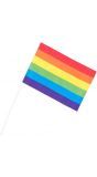 Set van 6 papieren regenboog zwaaivlaggen