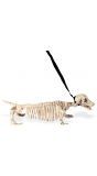 Skeletten hond met riem