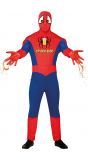 Spiderbar superheld kostuum man