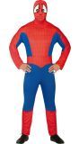 Spiderman kostuum budget