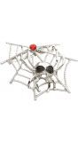 Spinnenweb met spinnen broche