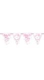Vlaggenlijn babyshower roze meisje 6 meter