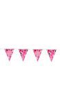 Vlaggenlijn happy birthday glossy pink 4 meter
