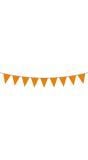 Vlaggenlijn koningsdag oranje 10 meter