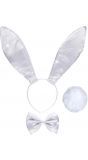 Witte glitter konijn accessoires