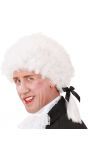 Witte Mozart pruik