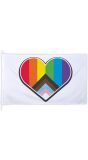 XXL Polyester LGBTQIA+ progress vlag